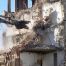 the role of engineering in structural demolition